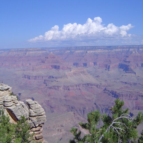 『2017年年次大会、ラスベガスとシカゴ』
グランドキャニオン